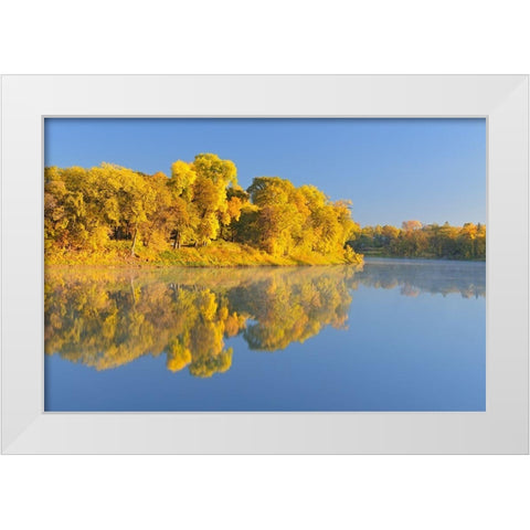 Canada-Manitoba-Winnipeg Forest reflected in Red River at sunrise White Modern Wood Framed Art Print by Jaynes Gallery