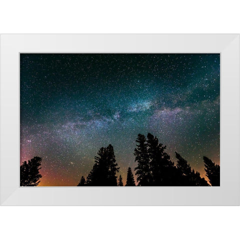 Canada-Manitoba-Milky Way Galaxy and starry night with white spruce in foreground White Modern Wood Framed Art Print by Jaynes Gallery