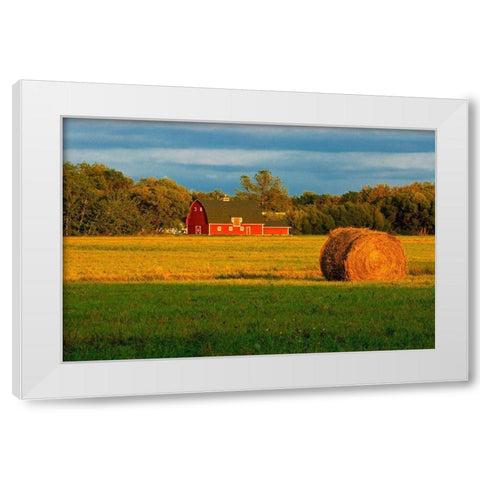 Canada-Manitoba-Matlock Red barn and bale at sunrise White Modern Wood Framed Art Print by Jaynes Gallery