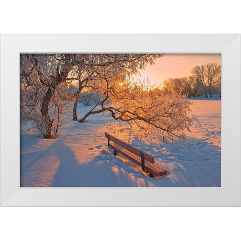 Canada-Manitoba-Winnipeg Hoarfrost at sunrise with bench White Modern Wood Framed Art Print by Jaynes Gallery