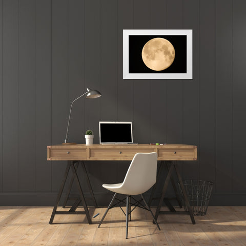 Canada-Manitoba-Winnipeg Close-up of full moon White Modern Wood Framed Art Print by Jaynes Gallery