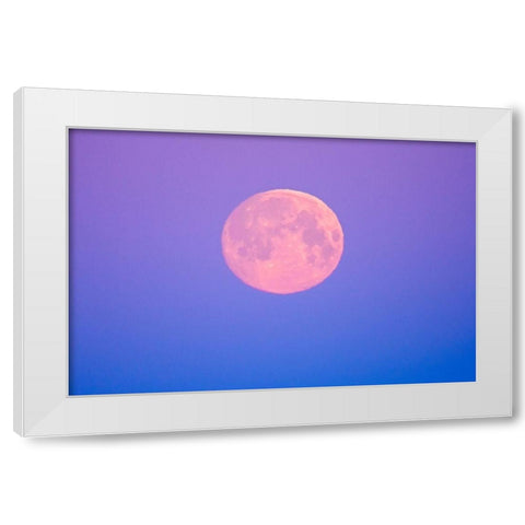 Canada-Manitoba-Dugald Full moon at dawn White Modern Wood Framed Art Print by Jaynes Gallery