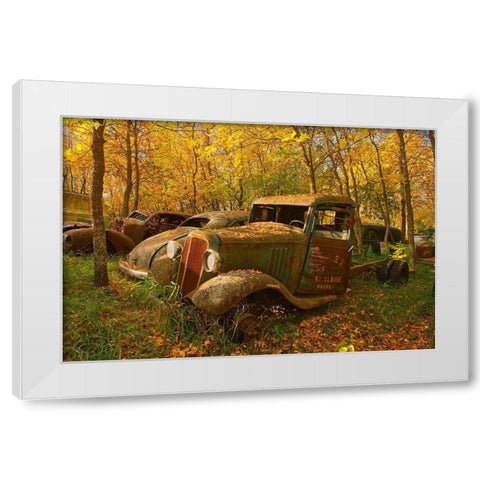 Canada-Manitoba-St Lupicin Vintage old vehicles in wrecking yard White Modern Wood Framed Art Print by Jaynes Gallery