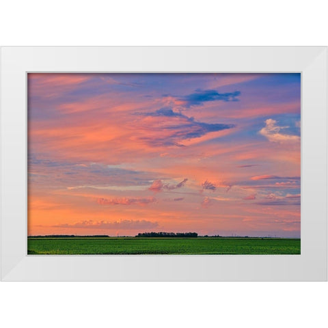 Canada-Manitoba-Dugald Clouds at sunset on prairie White Modern Wood Framed Art Print by Jaynes Gallery