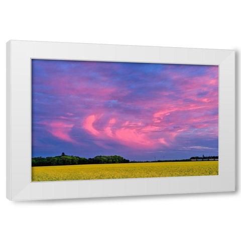 Canada-Manitoba-Dugald Clouds at sunset on prairie White Modern Wood Framed Art Print by Jaynes Gallery