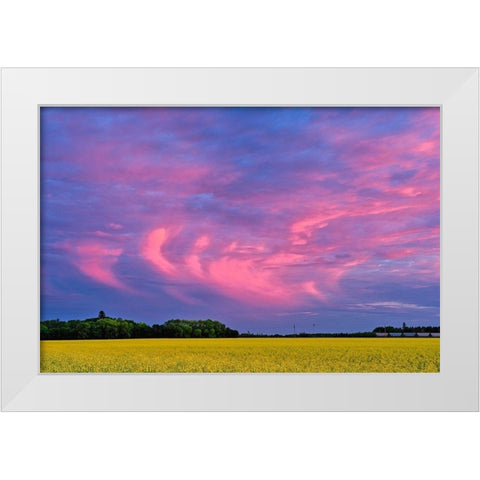 Canada-Manitoba-Dugald Clouds at sunset on prairie White Modern Wood Framed Art Print by Jaynes Gallery