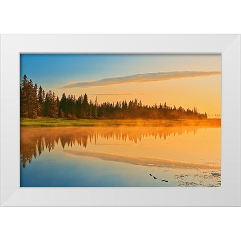 Canada-Manitoba-Riding Mountain National Park Fog rising above Whirlpool Lake at sunrise White Modern Wood Framed Art Print by Jaynes Gallery