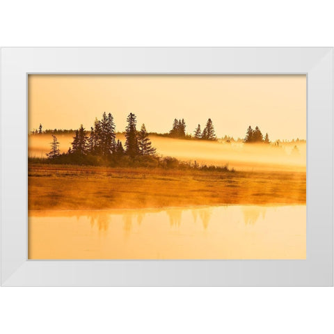 Canada-Manitoba-Riding Mountain National Park Fog rising above Whirlpool Lake at sunrise White Modern Wood Framed Art Print by Jaynes Gallery