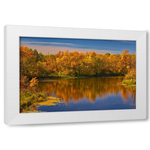 Canada- Manitoba. Autumn scene- Grindstone Point Road and Hwy 8. White Modern Wood Framed Art Print by Jaynes Gallery