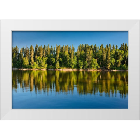 Canada- Manitoba- Paint Lake Provincial Park. Forest reflections on Paint Lake. White Modern Wood Framed Art Print by Jaynes Gallery