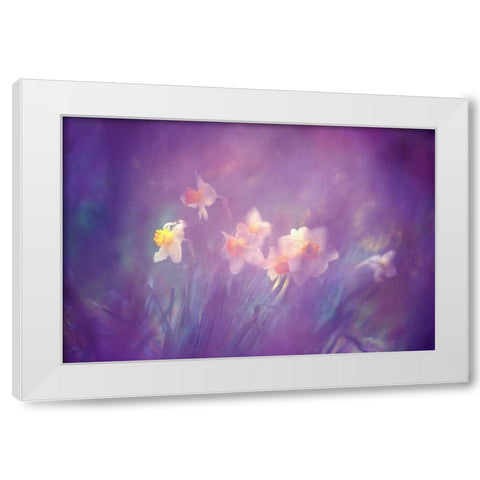 Canada, New Brunswick Abstract of daffodils White Modern Wood Framed Art Print by Needle, Charles