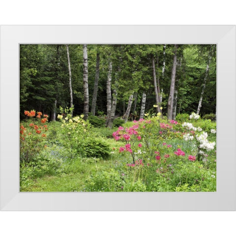 Canada, New Brunswick, garden and forest White Modern Wood Framed Art Print by Anon, Ellen