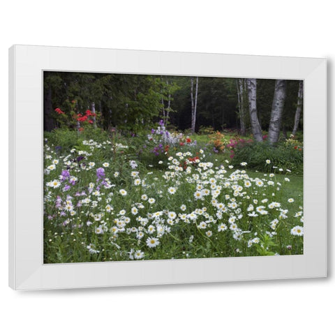 Canada, New Brunswick, garden and forest White Modern Wood Framed Art Print by Anon, Ellen