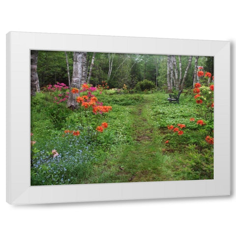 Canada, New Brunswick, garden and forest White Modern Wood Framed Art Print by Anon, Ellen