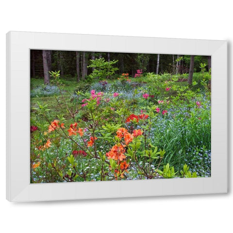 Canada, New Brunswick, garden and forest White Modern Wood Framed Art Print by Anon, Ellen