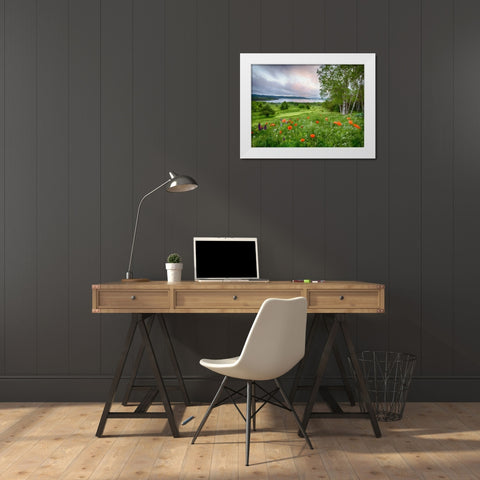 Canada, New Brunswick Landscape of meadow White Modern Wood Framed Art Print by Anon, Ellen