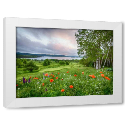 Canada, New Brunswick Landscape of meadow White Modern Wood Framed Art Print by Anon, Ellen