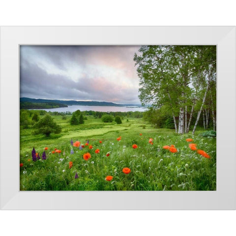Canada, New Brunswick Landscape of meadow White Modern Wood Framed Art Print by Anon, Ellen