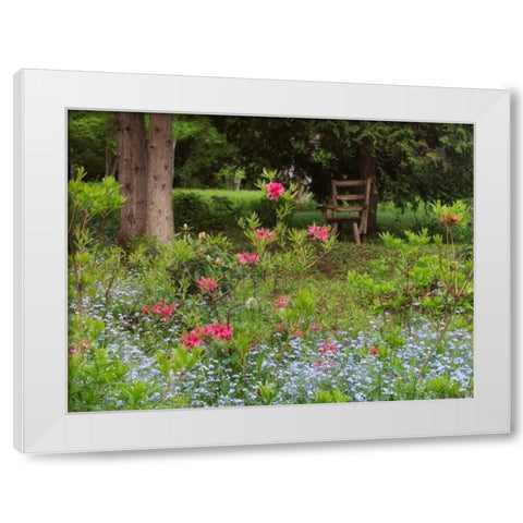 Canada, New Brunswick, garden and forest White Modern Wood Framed Art Print by Anon, Ellen