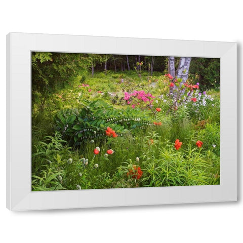 Canada, New Brunswick, garden and forest White Modern Wood Framed Art Print by Anon, Ellen