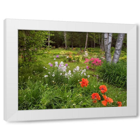 Canada, New Brunswick, garden and forest White Modern Wood Framed Art Print by Anon, Ellen