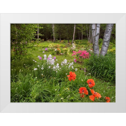 Canada, New Brunswick, garden and forest White Modern Wood Framed Art Print by Anon, Ellen