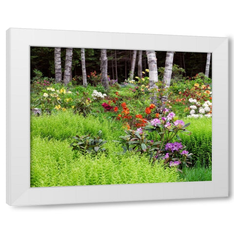 Canada, New Brunswick, garden and forest White Modern Wood Framed Art Print by Anon, Ellen
