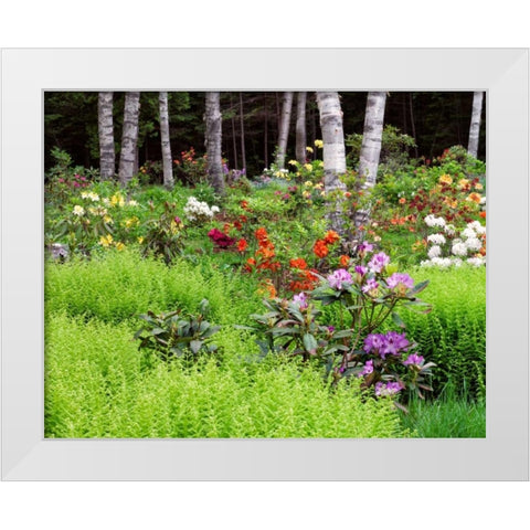 Canada, New Brunswick, garden and forest White Modern Wood Framed Art Print by Anon, Ellen