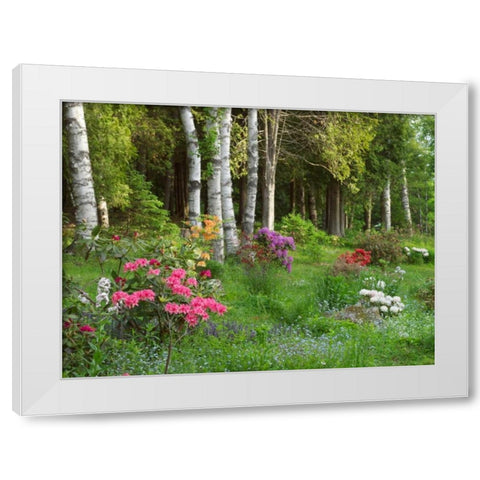 Canada, New Brunswick, Forest and garden White Modern Wood Framed Art Print by Anon, Ellen