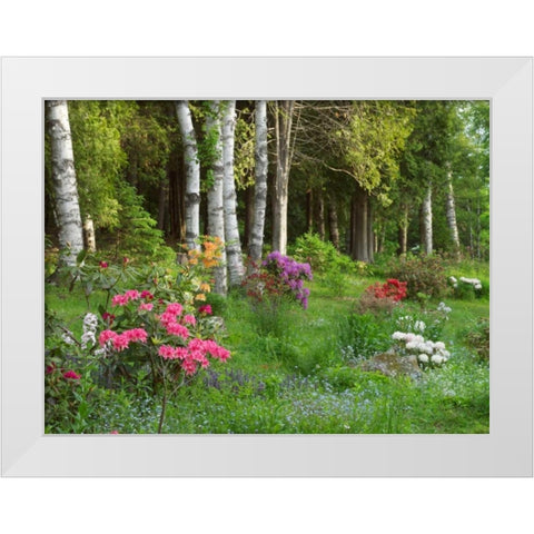 Canada, New Brunswick, Forest and garden White Modern Wood Framed Art Print by Anon, Ellen