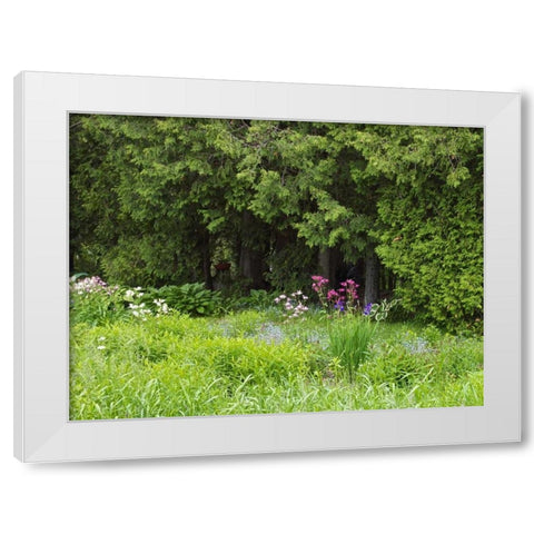 Canada, New Brunswick, Forest and garden White Modern Wood Framed Art Print by Anon, Ellen