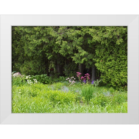 Canada, New Brunswick, Forest and garden White Modern Wood Framed Art Print by Anon, Ellen