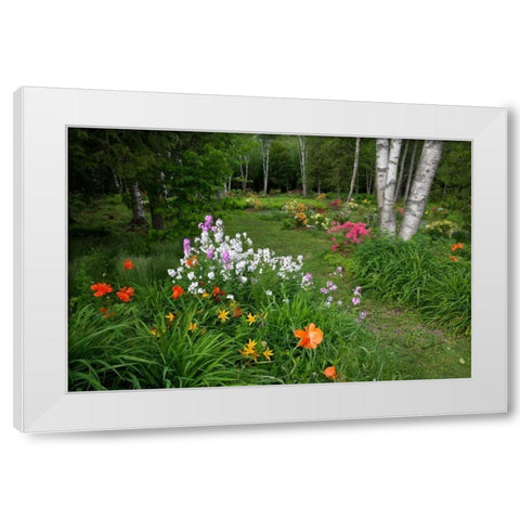 Canada, New Brunswick Garden scenic White Modern Wood Framed Art Print by Anon, Ellen