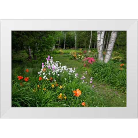 Canada, New Brunswick Garden scenic White Modern Wood Framed Art Print by Anon, Ellen