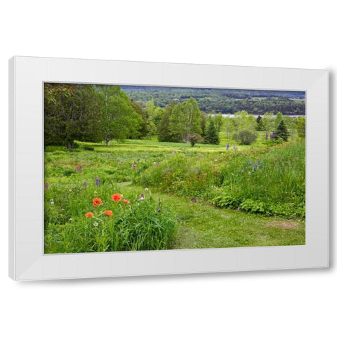 Canada, New Brunswick Landscape of meadow White Modern Wood Framed Art Print by Anon, Ellen