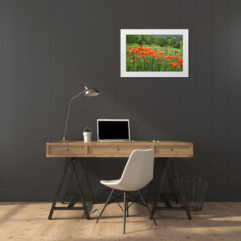 Canada, New Brunswick Landscape with wildflowers White Modern Wood Framed Art Print by Anon, Ellen
