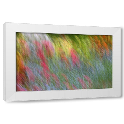 Canada Abstract blur of garden colors White Modern Wood Framed Art Print by Anon, Ellen