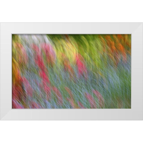 Canada Abstract blur of garden colors White Modern Wood Framed Art Print by Anon, Ellen