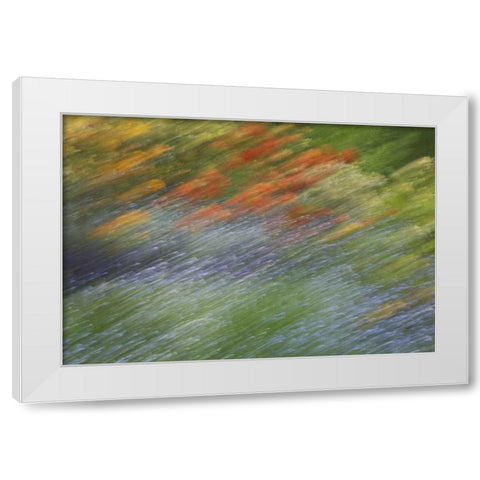 Canada Abstract blur of garden colors White Modern Wood Framed Art Print by Anon, Ellen