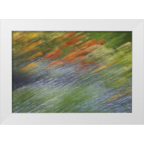 Canada Abstract blur of garden colors White Modern Wood Framed Art Print by Anon, Ellen