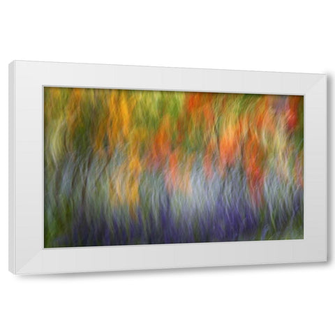 Canada Abstract blur of garden colors White Modern Wood Framed Art Print by Anon, Ellen
