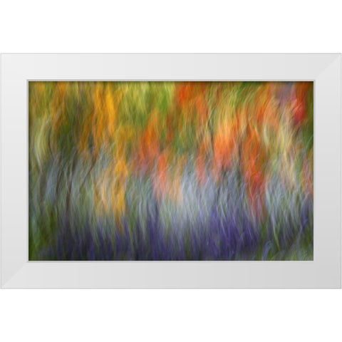 Canada Abstract blur of garden colors White Modern Wood Framed Art Print by Anon, Ellen