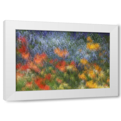 Canada Abstract blur of garden colors White Modern Wood Framed Art Print by Anon, Ellen