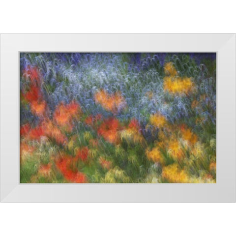 Canada Abstract blur of garden colors White Modern Wood Framed Art Print by Anon, Ellen