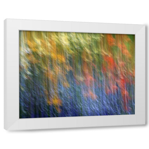 Canada Abstract blur of garden colors White Modern Wood Framed Art Print by Anon, Ellen