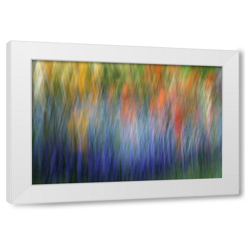 Canada Abstract blur of garden colors White Modern Wood Framed Art Print by Anon, Ellen