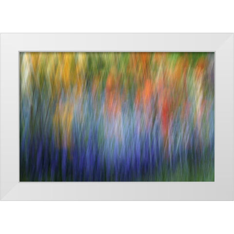 Canada Abstract blur of garden colors White Modern Wood Framed Art Print by Anon, Ellen