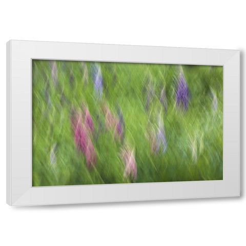 Canada Abstract blur of garden colors White Modern Wood Framed Art Print by Anon, Ellen