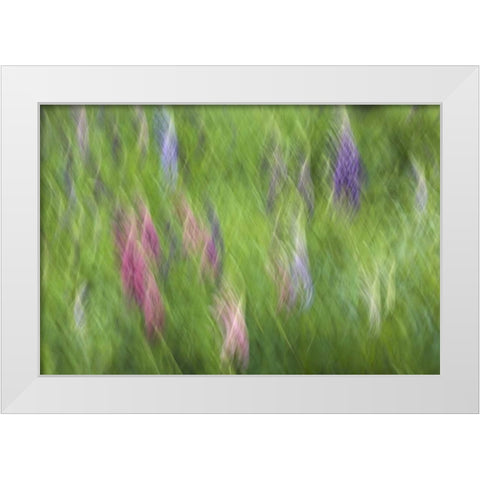 Canada Abstract blur of garden colors White Modern Wood Framed Art Print by Anon, Ellen