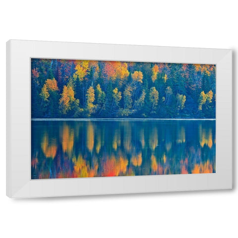 Canada-New Brunswick-Mactaquac Autumn forest reflections on St John River White Modern Wood Framed Art Print by Jaynes Gallery
